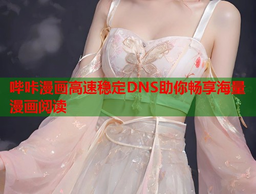 哔咔漫画高速稳定DNS助你畅享海量漫画阅读