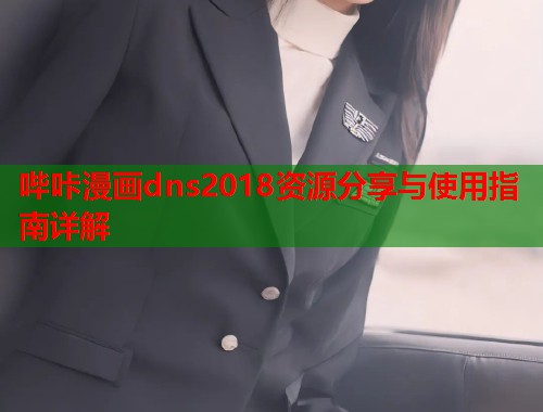 哔咔漫画dns2018资源分享与使用指南详解