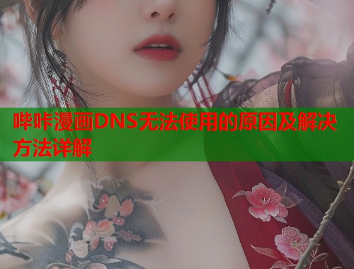 哔咔漫画DNS无法使用的原因及解决方法详解