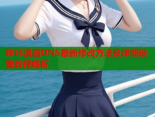 哔咔漫画DNS最新修改方法及详细设置教程解析