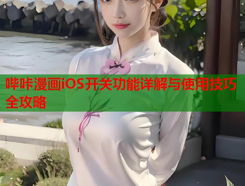 哔咔漫画iOS开关功能详解与使用技巧全攻略