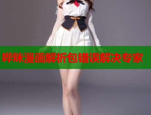 哔咪漫画解析包错误解决专家