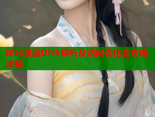 哔咔漫画DNS解析及访问优化全攻略详解