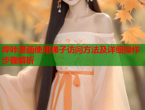 哔咔漫画使用梯子访问方法及详细操作步骤解析