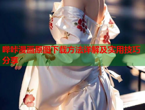 哔咔漫画原图下载方法详解及实用技巧分享