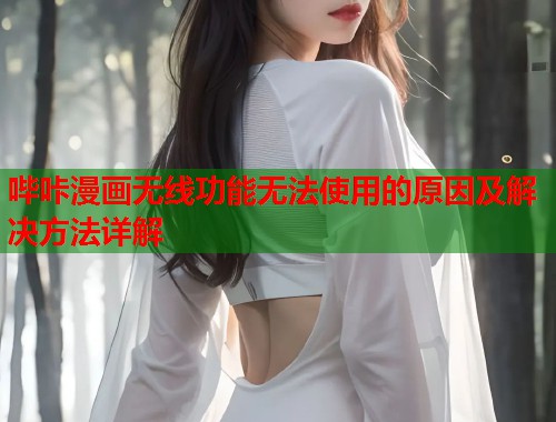 哔咔漫画无线功能无法使用的原因及解决方法详解