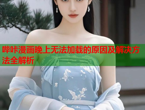 哔咔漫画晚上无法加载的原因及解决方法全解析