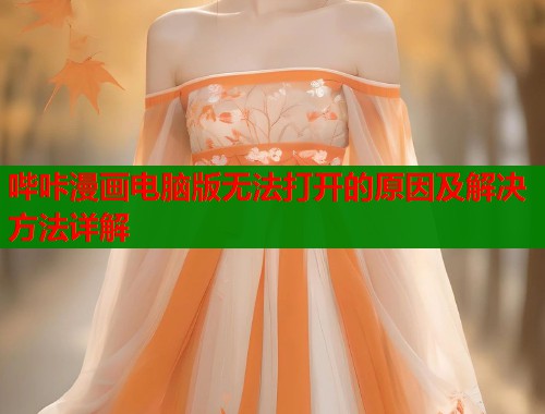 哔咔漫画电脑版无法打开的原因及解决方法详解